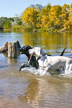 Douglas County Off-leash Area